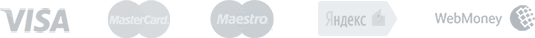 Способы оплаты: Visa, MasterCard, МИР, СБП